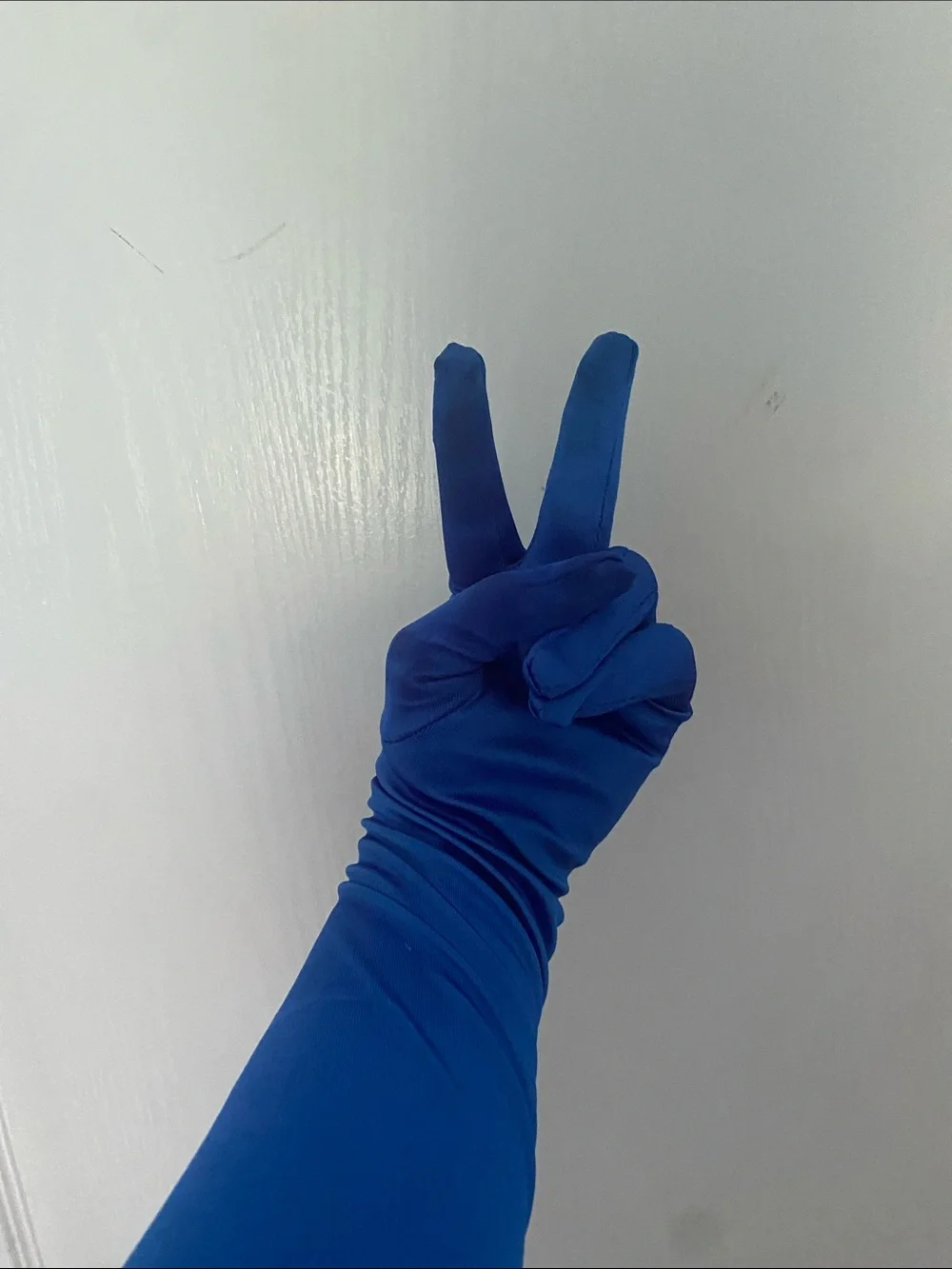 Amazon Long Royal Blue Satin Gloves
